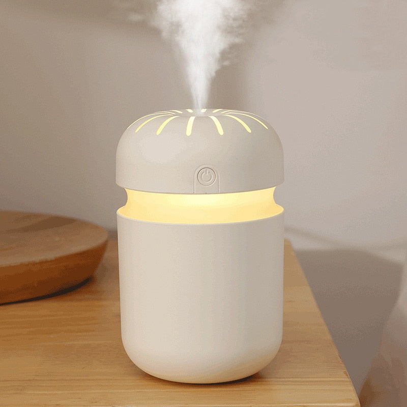 Humidificateur d'air (300ml)