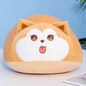 Peluche de chat et de shiba