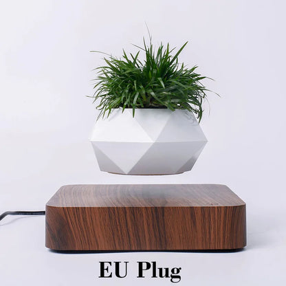 Magnetic levitating flower pots.