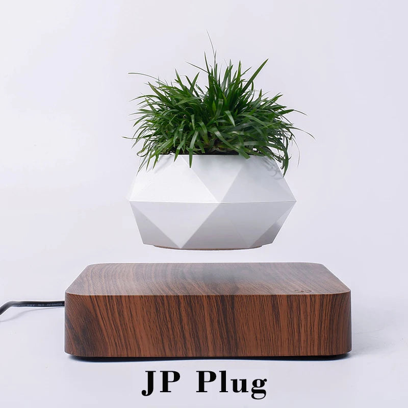 Magnetic levitating flower pots.