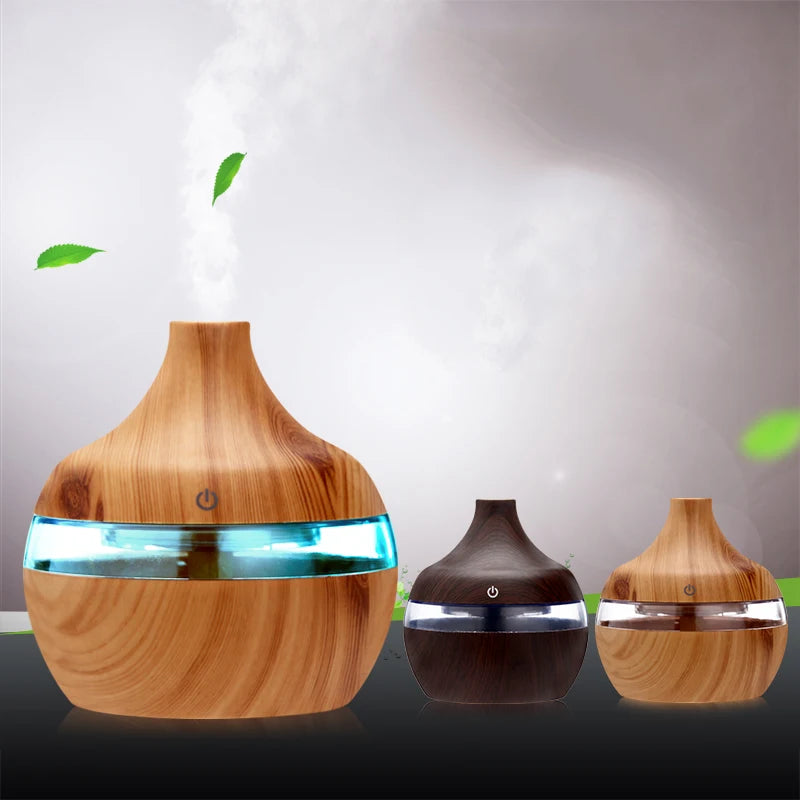 Electric humidifier + essential aroma diffuser (USB)